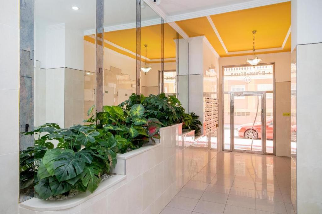 Bonito Apartamento En Torrevieja Luaran gambar